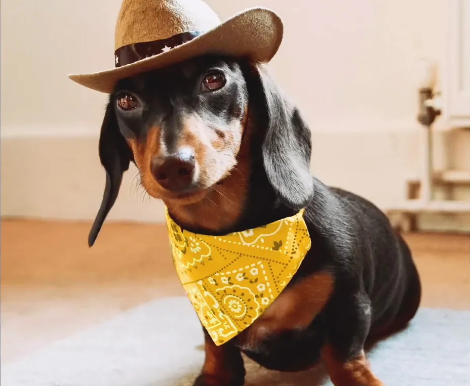 First Financial Bank